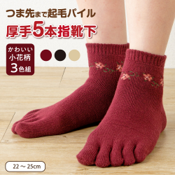 【３色組】裏起毛 レディース あったか ５本指 ソックス